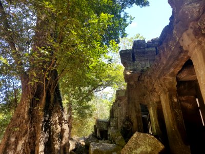 Ta Prohm, 2017-12-31 (039)