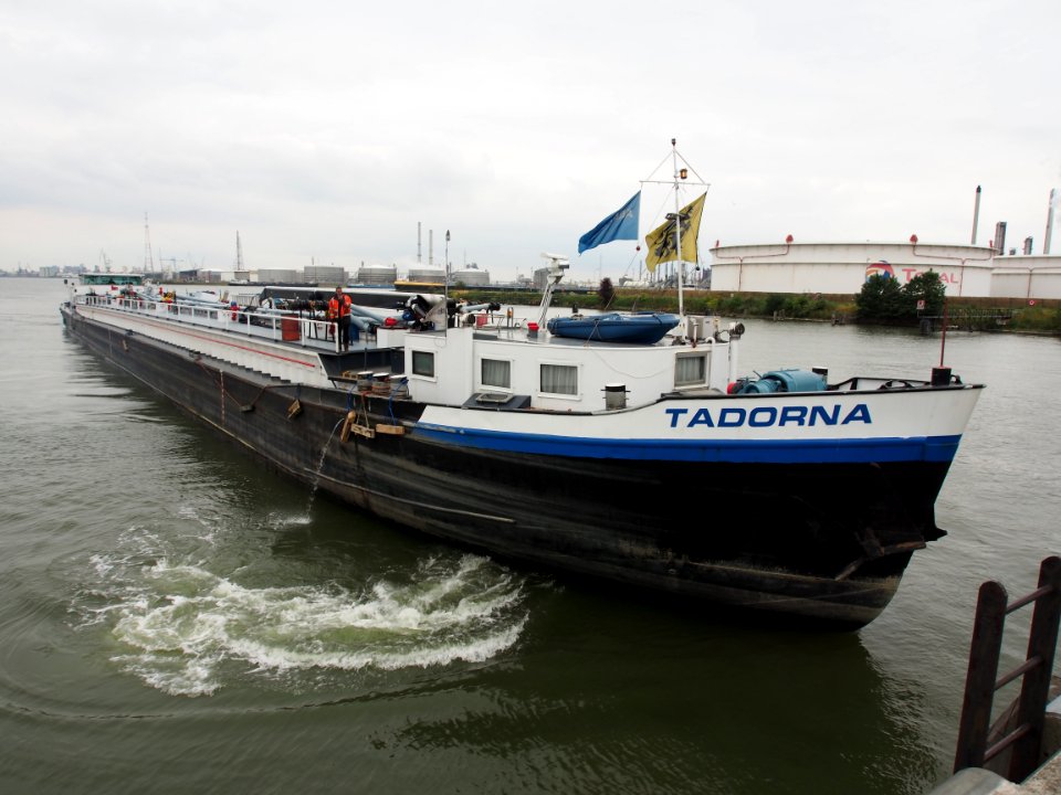 Tadorna - ENI 06004255, Van Cauwelaertsluis, Port of Antwerp pic3
