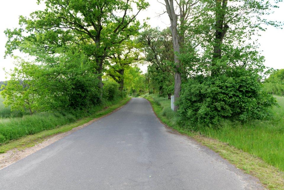 Street in Mittenwalde 2021-05-29 02