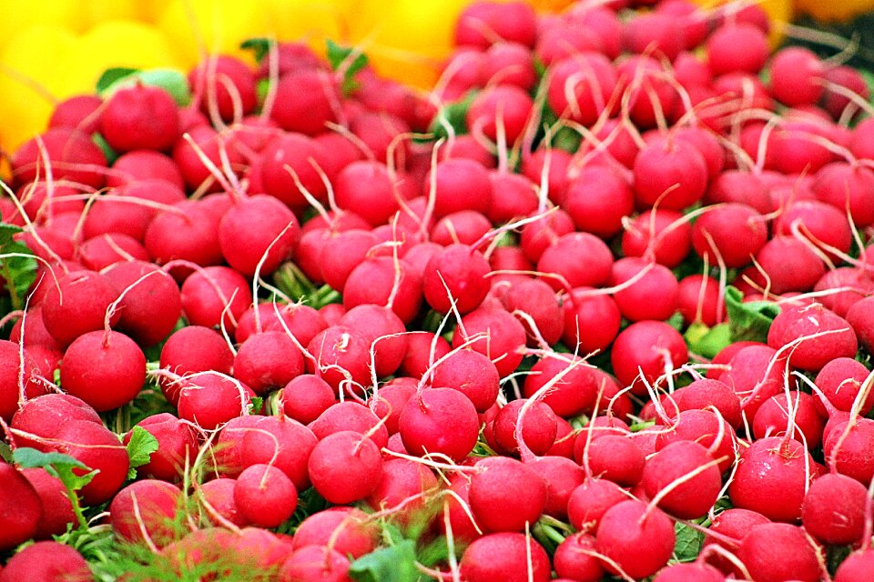 Red vitamins fresh