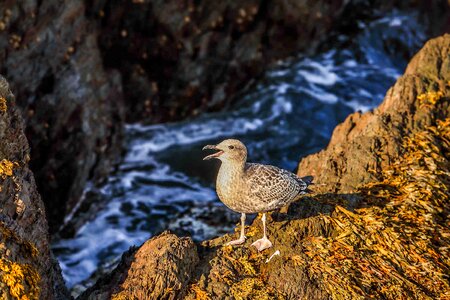 Coast nature england