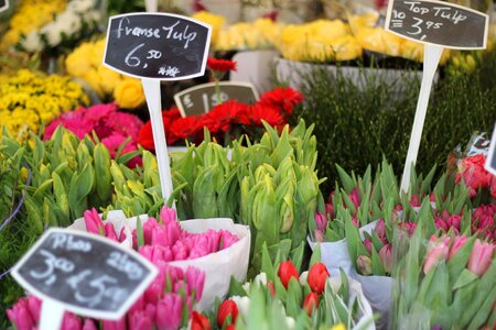 Rotterdam netherlands travel