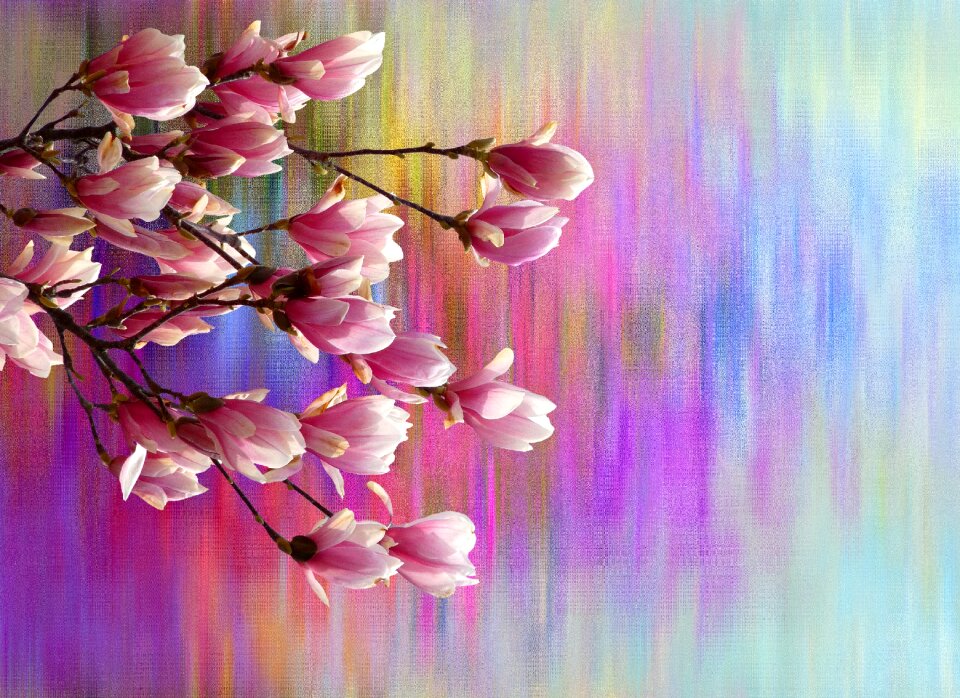 Season easter plant