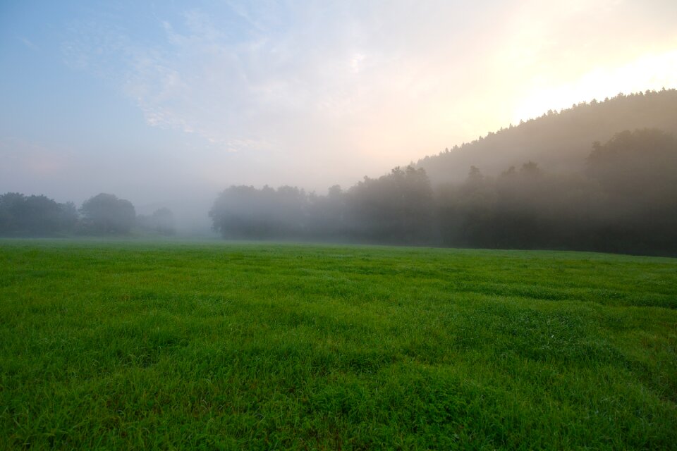 Landscape land summer