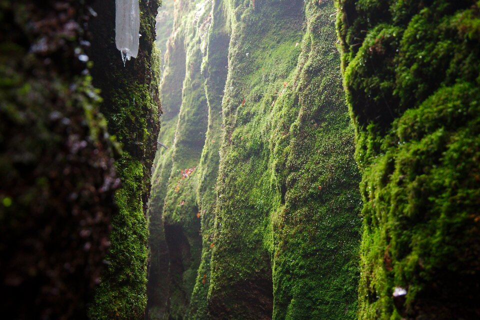 Travel landscape rain