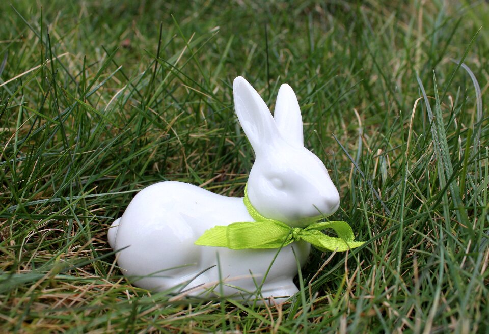 Lawn nature easter