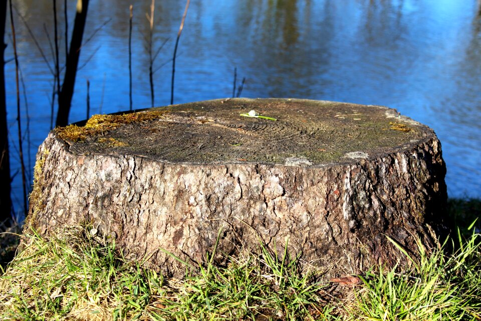 Landscape grass park
