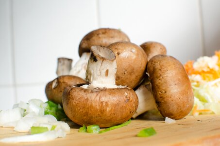 Vegetable mushroom cooking photo