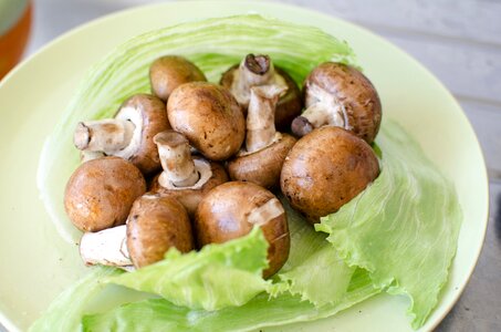 Cooking epicure mushroom photo