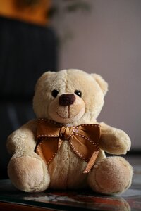 Cute toy brown photo