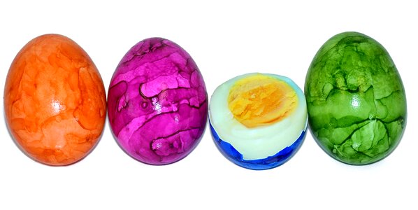 Egg egg yolk protein