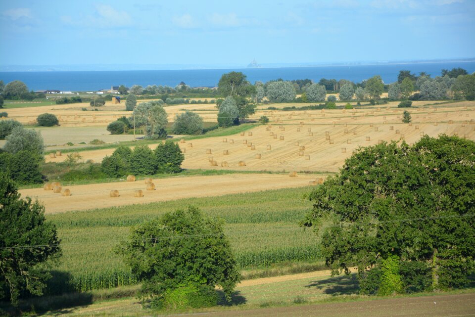 Nature fields agriculture
