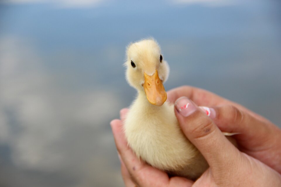 Outdoors cute little