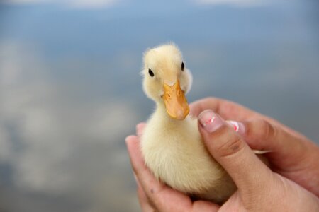 Outdoors cute little