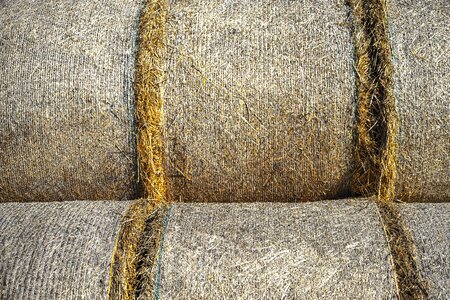Close up harvest time straw bales