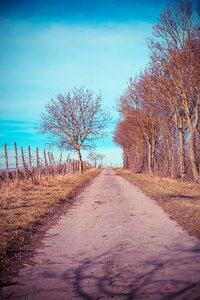 Walk winegrowing wine