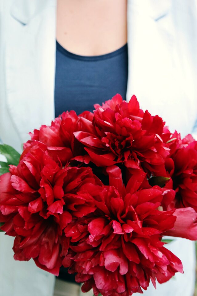 Red flower petals