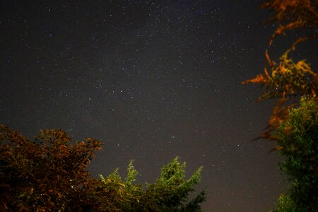 Night starry sky sky photo