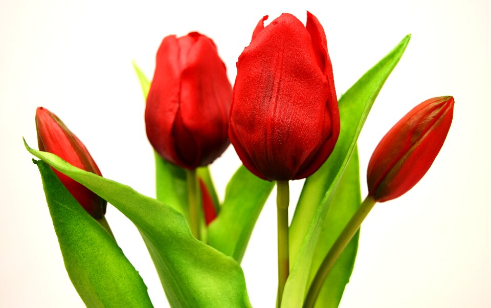 Artificial spring red