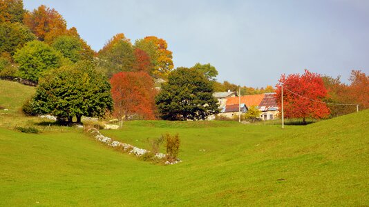 Borgo houses leaves