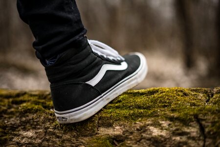 Footwear green brown shoes