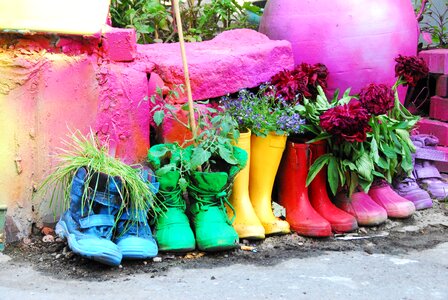 Garden bright rainbow
