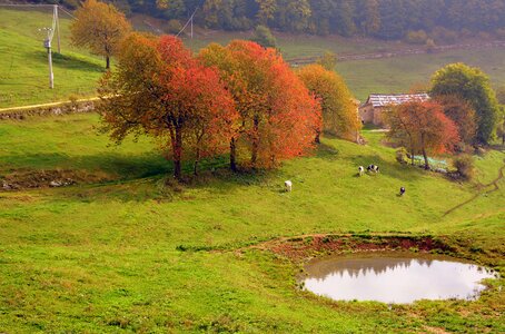 Pasture mountain prato