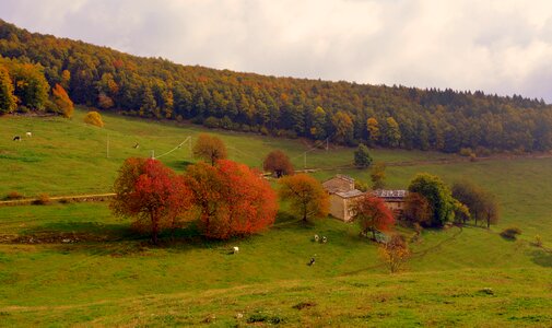 Pasture mountain prato