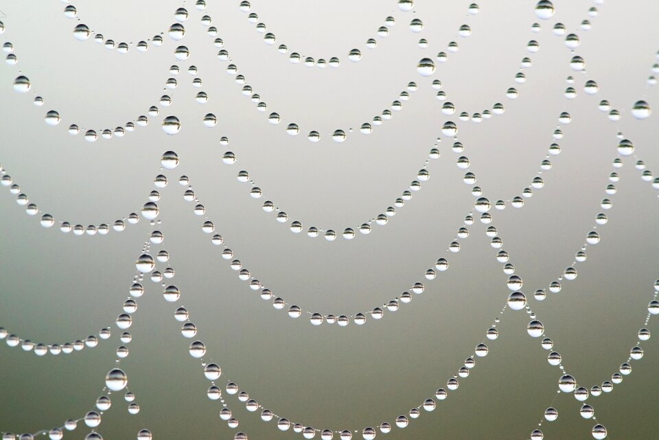 Drip morgentau drop of water