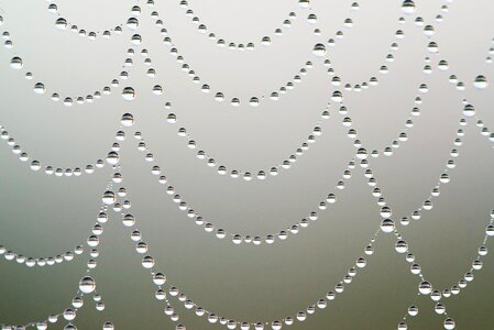 Drip morgentau drop of water