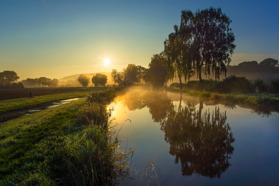 Mirroring morning light tree