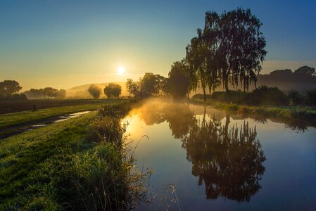 Mirroring morning light tree