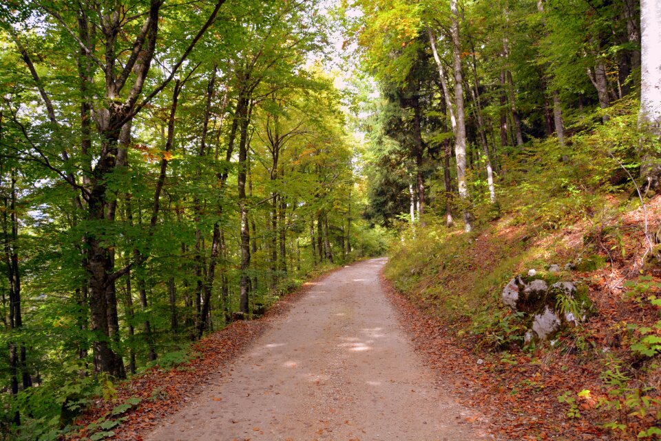 The european path e5 lessinia
