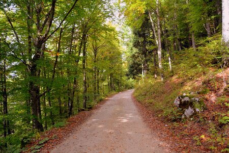 The european path e5 lessinia