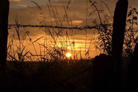 Nature morning hour morning