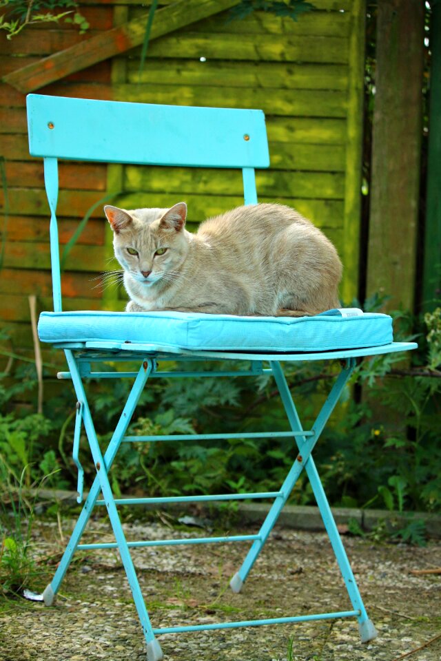 Chair turquoise sleep