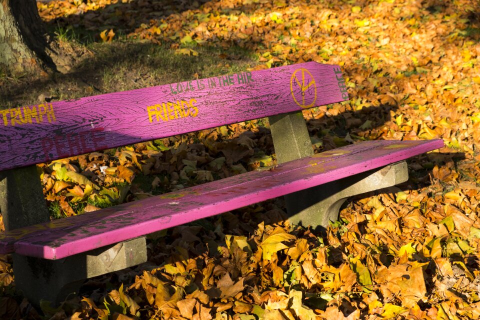 Bench park bench pink