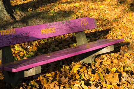 Bench park bench pink