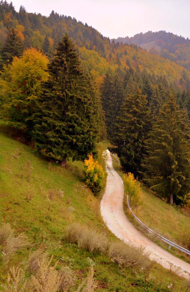 The european path e5 lessinia