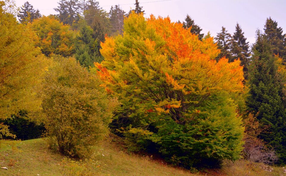 Landscape mountain the european path