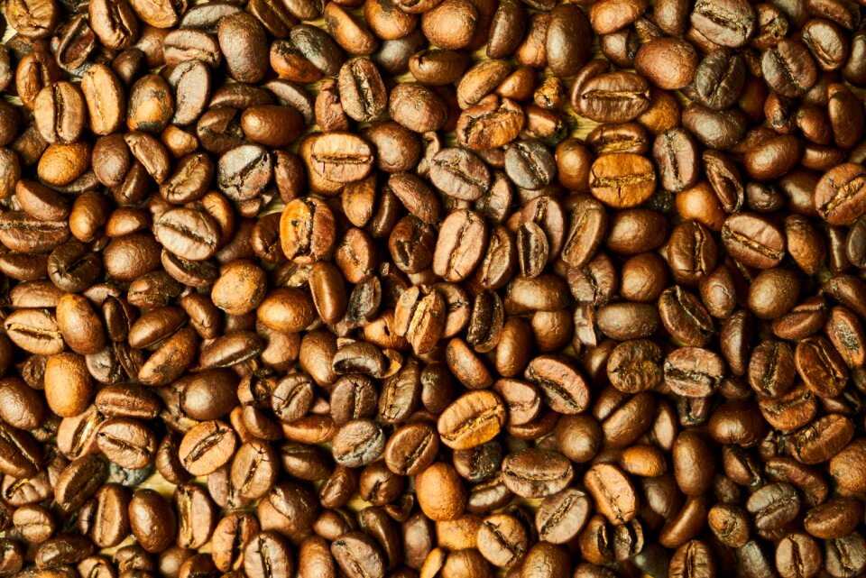 Caffeine food nutrition