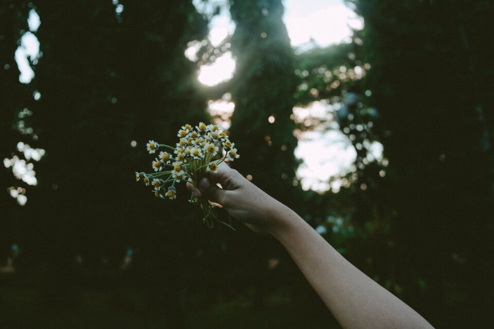 People hand hold photo