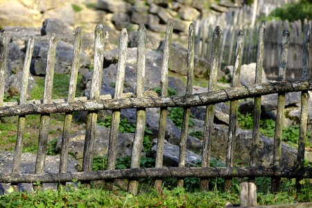 Wood fence protection protect photo