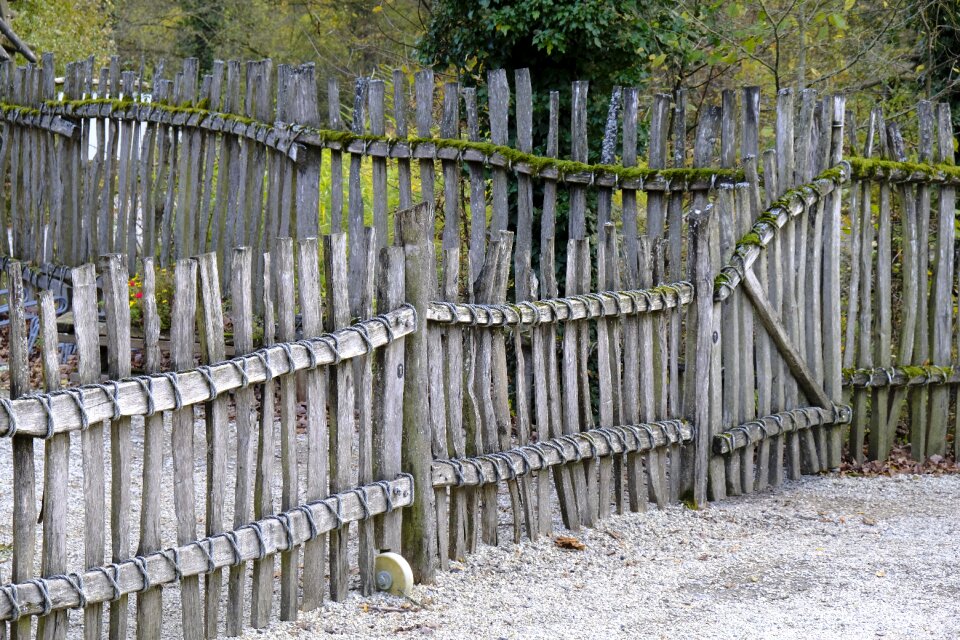 Wood fence protection protect
