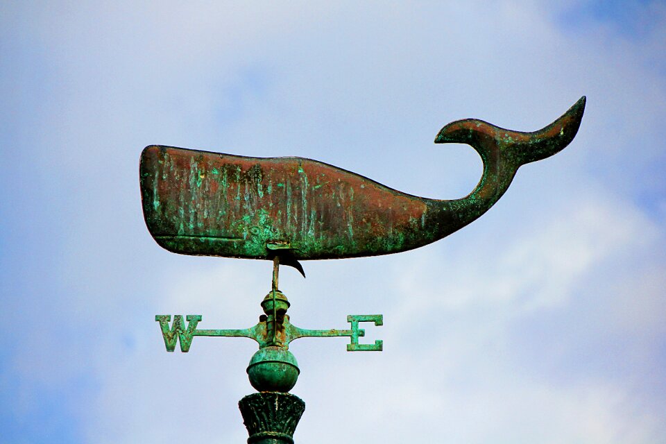 East anemometer weather vane