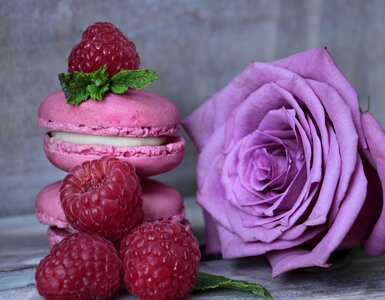 Rose purple rose pastries photo
