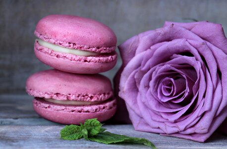 Rose bloom mint pastries photo