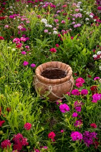 Flower field bucket baby