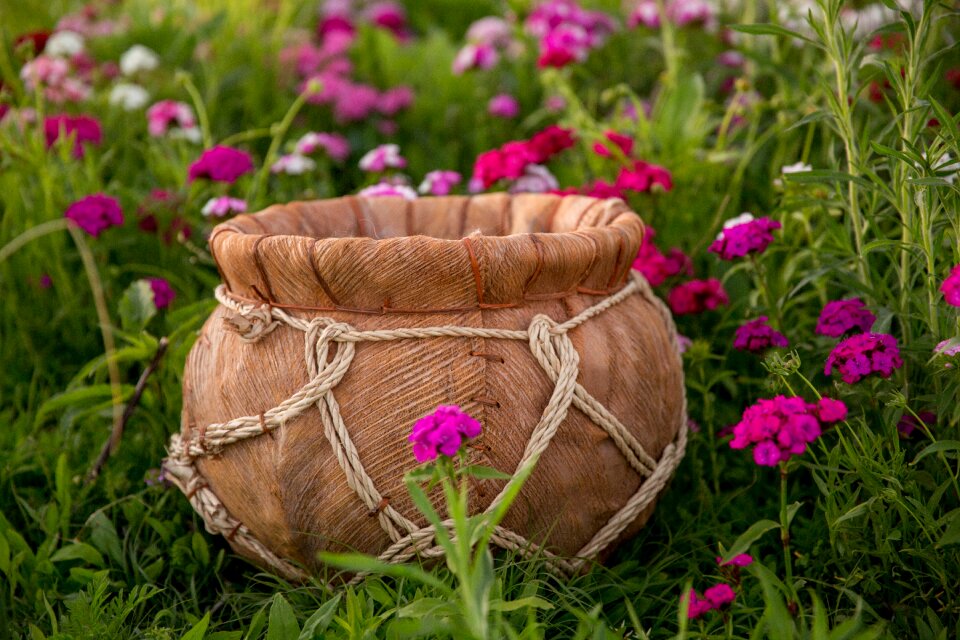 Flower field bucket baby