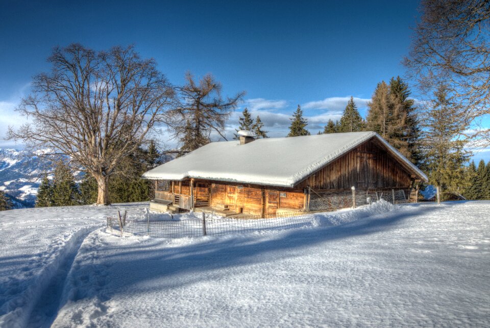 Alpine alm alm hut photo